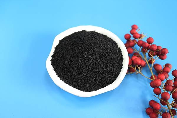 煤質(zhì)活性炭應用